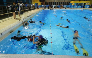 Reprise de la piscine BERTHIER le 4 novembre 2024